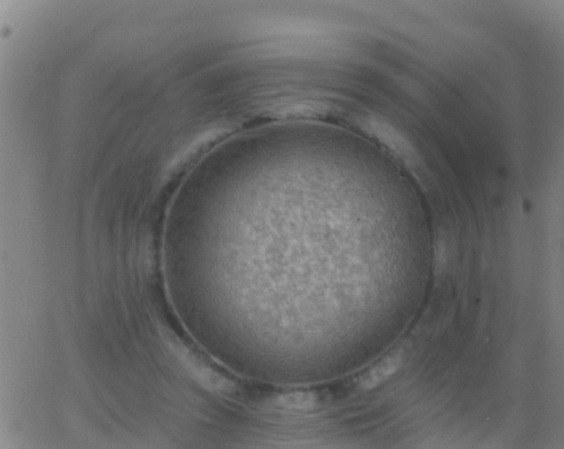 X0000063530353200601271907