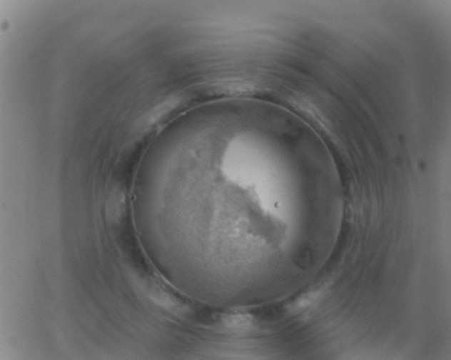 X0000063530355200601271907