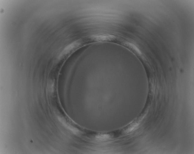 X0000063530357200601271907