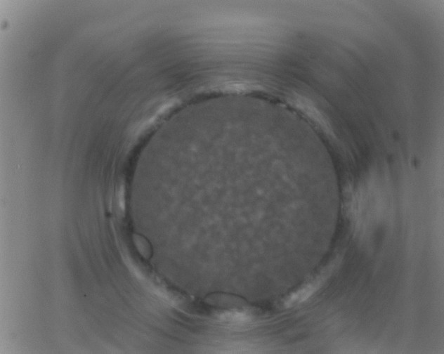 X0000063530358200601271907