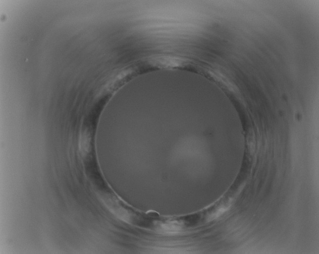 X0000063530359200601271907