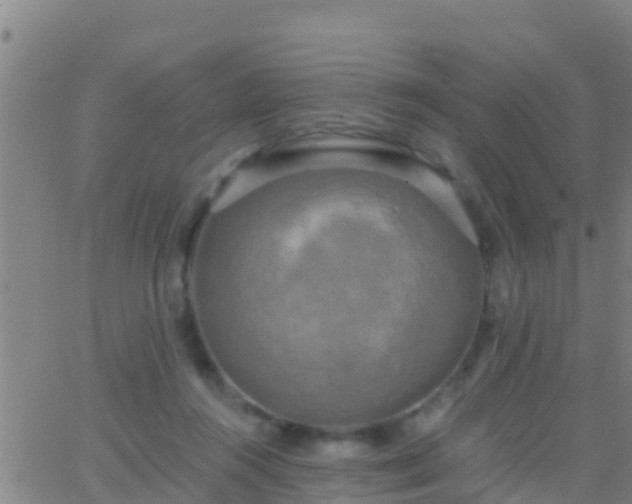 X0000063530360200601271907