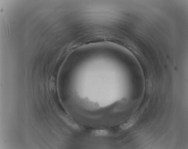 X0000063530361200601271907