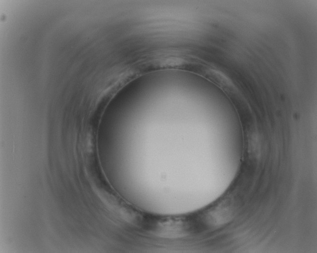 X0000063530362200601271907