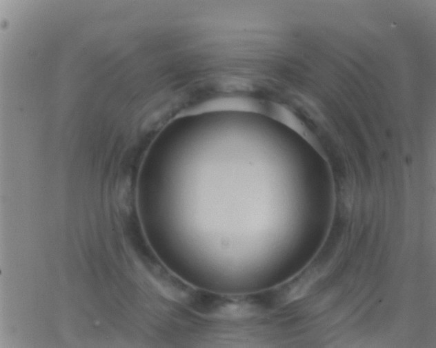 X0000063530364200601271907