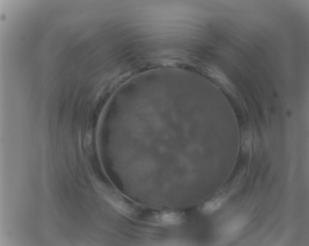 X0000063530365200601271907