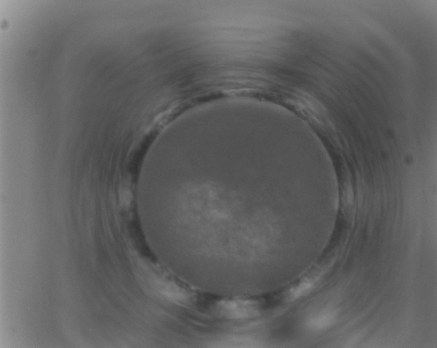 X0000063530367200601271907