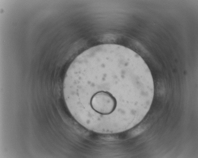 X0000063530370200601271907