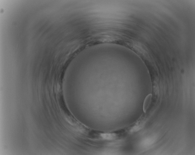 X0000063530371200601271907