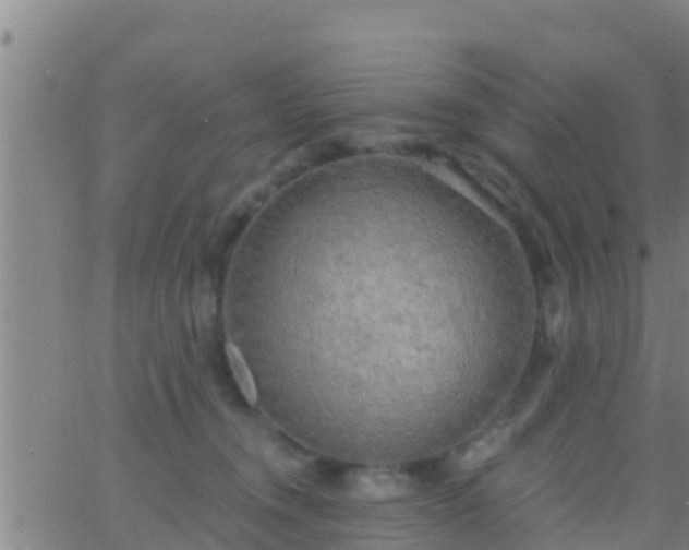 X0000063530372200601271907