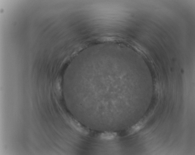 X0000063530373200601271907