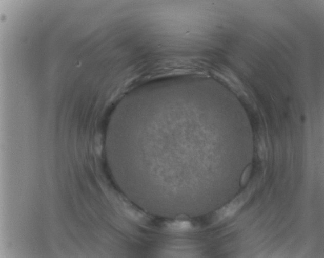 X0000063530374200601271907