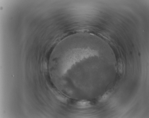 X0000063530375200601271907