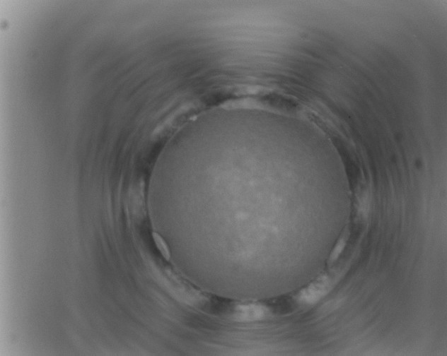 X0000063530376200601271907