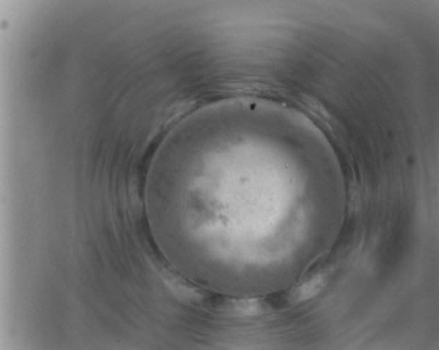 X0000063530377200601271907