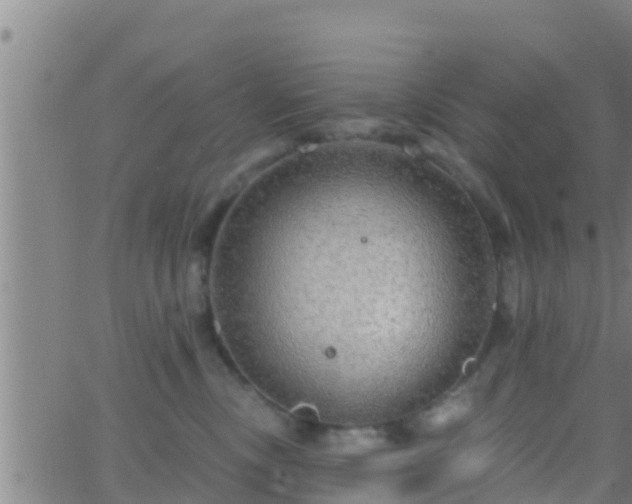 X0000063530378200601271907