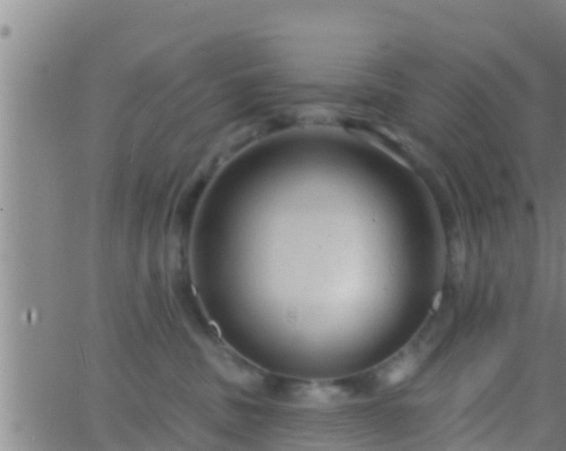 X0000063530379200601271907