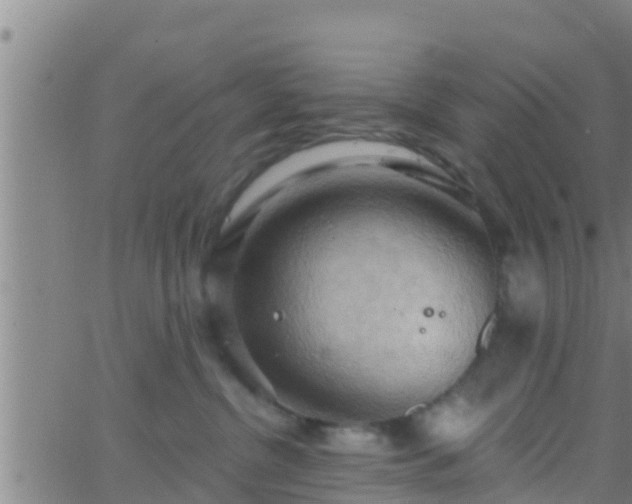 X0000063530380200601271907