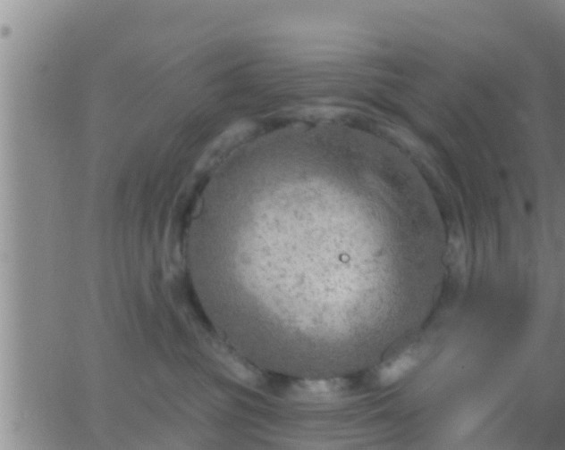 X0000063530381200601271907