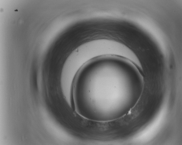 X0000063530382200601271907