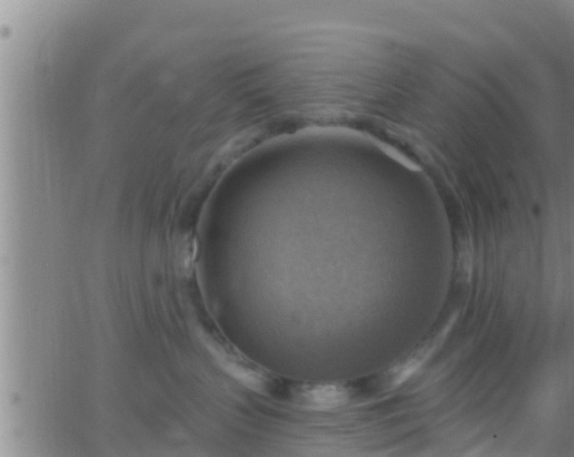 X0000063530383200601271907