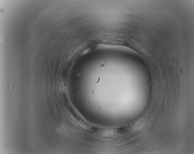 X0000063530384200601271907