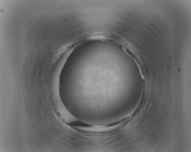 X0000063530385200601271906