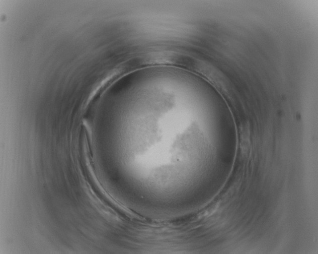 X0000063530386200601271906