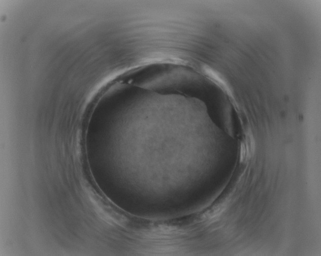 X0000063530387200601271906