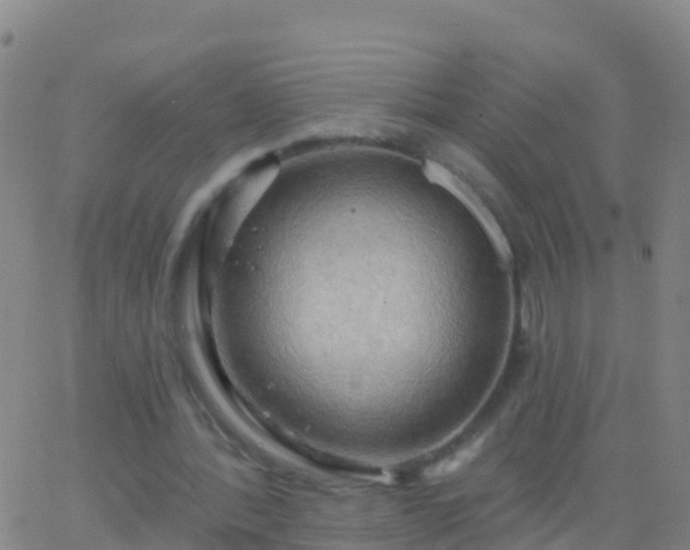 X0000063530388200601271906