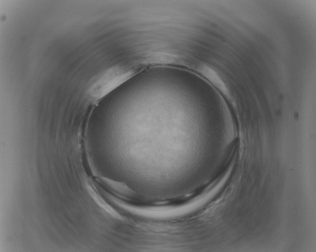 X0000063530389200601271906