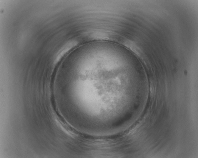 X0000063530390200601271906