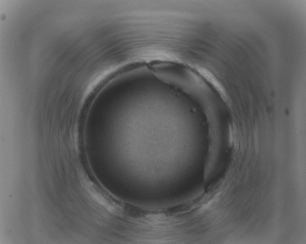 X0000063530391200601271906