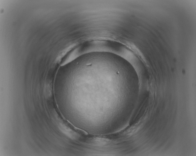 X0000063530393200601271906