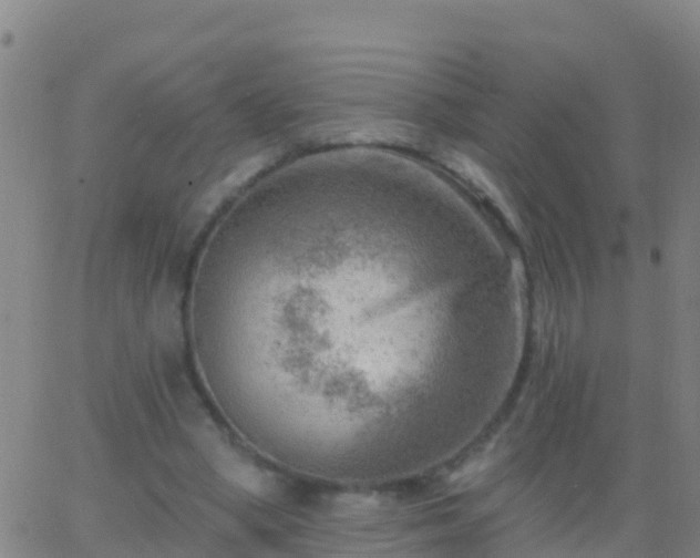 X0000063530394200601271906