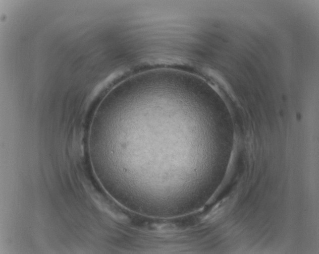 X0000063530395200601271906