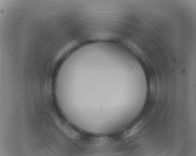 X0000063530396200601271906