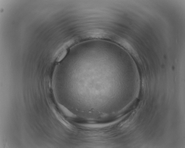 X0000063530397200601271906