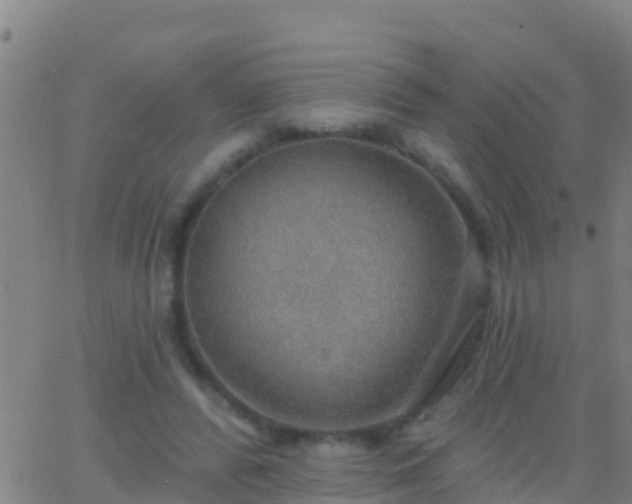 X0000063530400200601271906