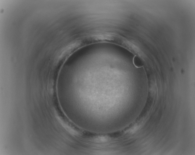 X0000063530402200601271906