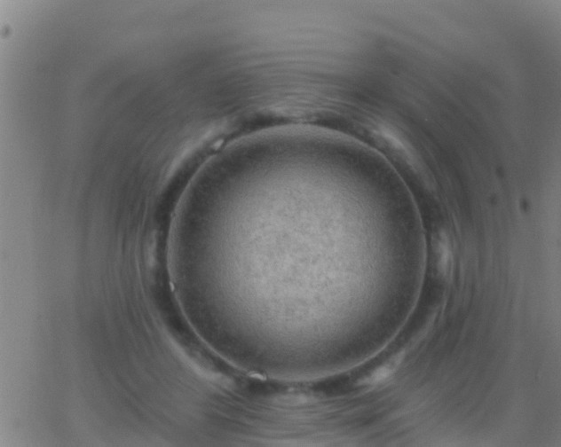 X0000063530404200601271906