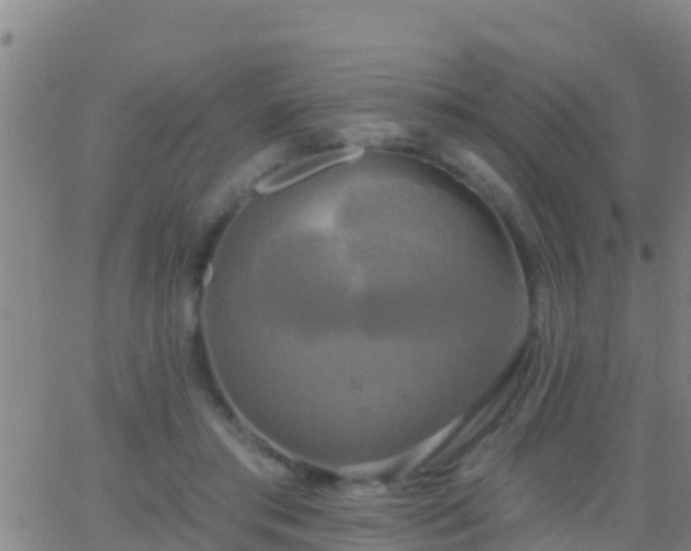 X0000063530405200601271906