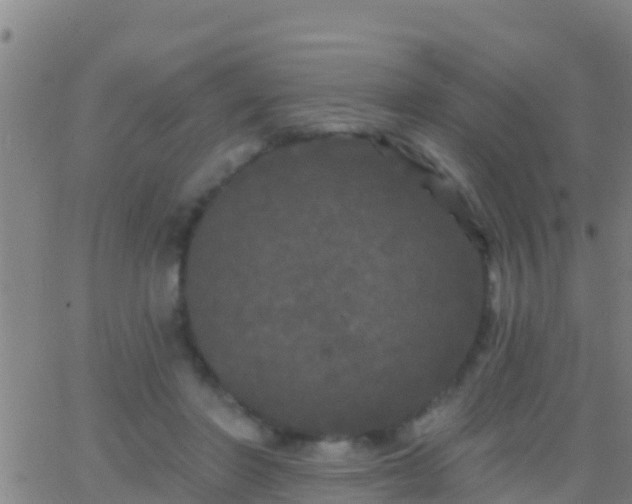 X0000063530406200601271906