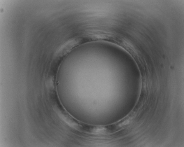 X0000063530410200601271906