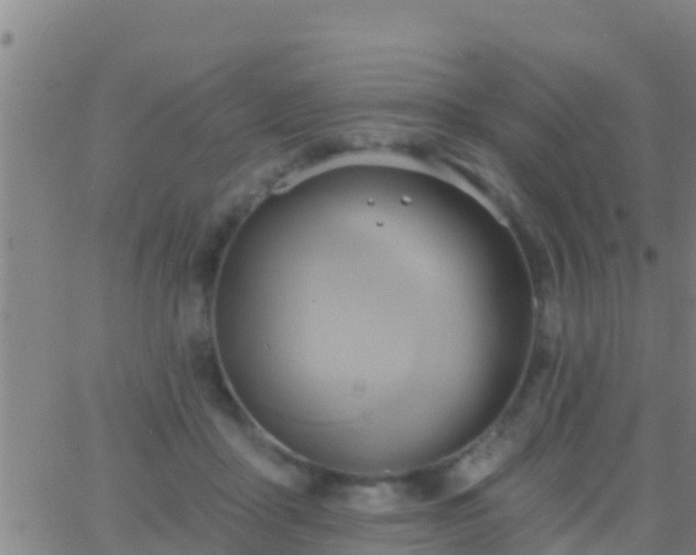 X0000063530411200601271906