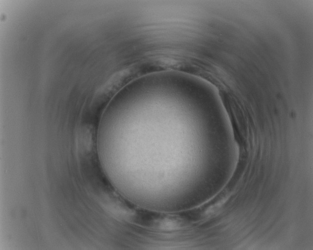 X0000063530412200601271906