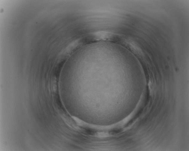 X0000063530413200601271906