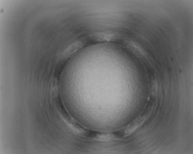 X0000063530414200601271906