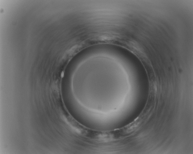 X0000063530415200601271906