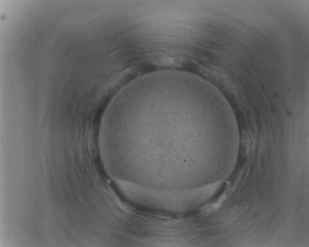 X0000063530416200601271906